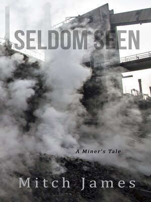 cover image of Seldom Seen
